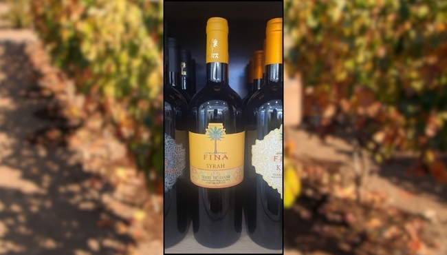 Cantine Fina | Syrah da 75cl